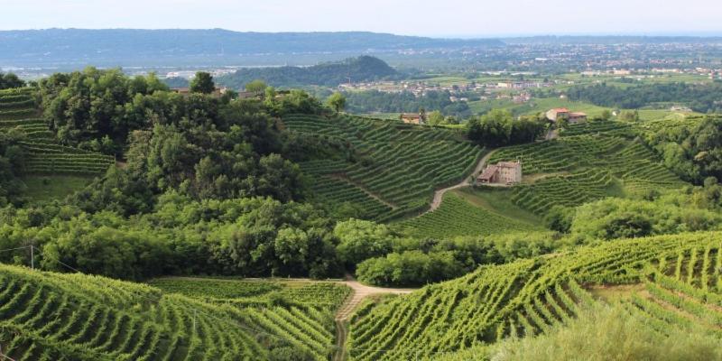 Casa Nostra 호텔 Selva Del Montello 외부 사진